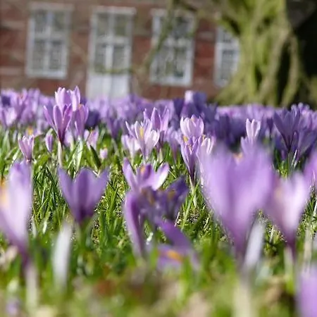 Apartmán Ferienwohnung Luv Husum (Schleswig-Holstein)